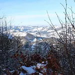 Hirmhof *