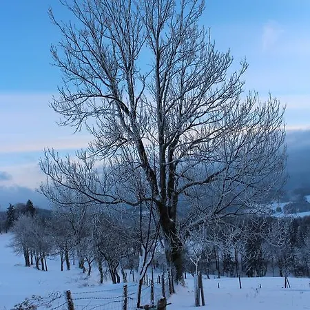 Hirmhof Reinsberg
