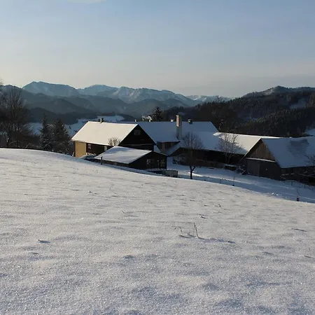 Alojamento de Turismo Rural Hirmhof *