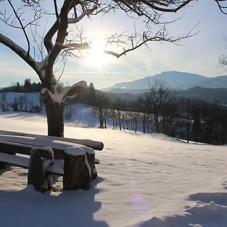 Hirmhof Alojamento de Turismo Rural *