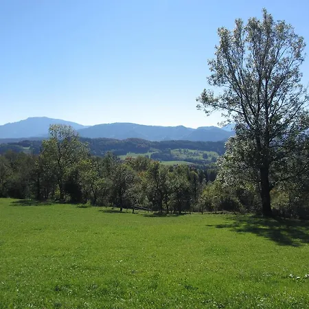 Hirmhof Reinsberg
