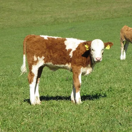 Alojamento de Turismo Rural Hirmhof Reinsberg