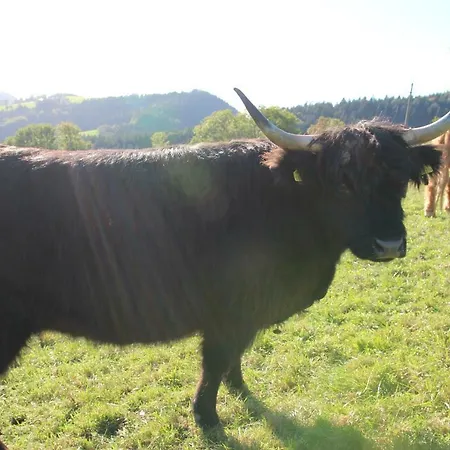 Hirmhof Farm stay Reinsberg