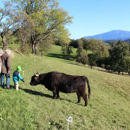 Hirmhof Farm stay *