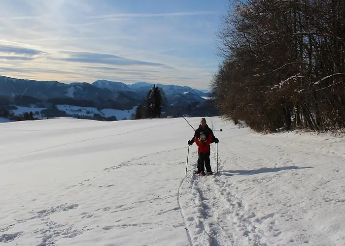 Vakantieboerderij Hirmhof *
