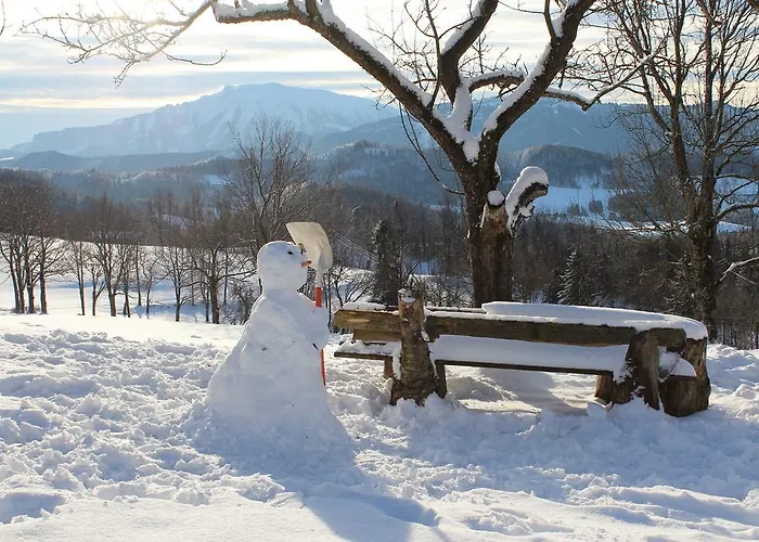 مزرعة للإقامة Hirmhof