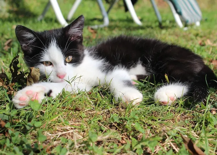 Hirmhof مزرعة للإقامة *