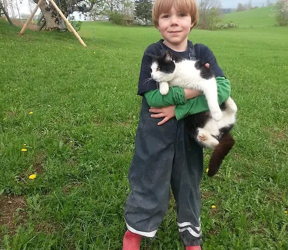 مزرعة للإقامة Hirmhof *