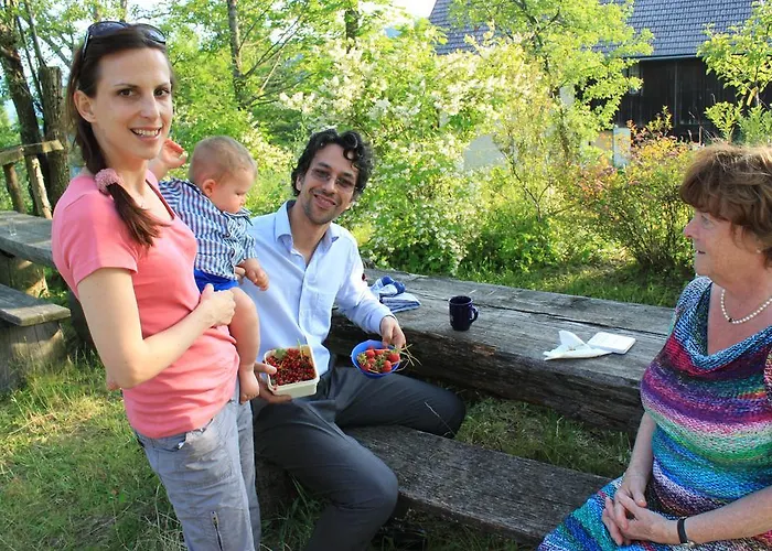 مزرعة للإقامة Hirmhof