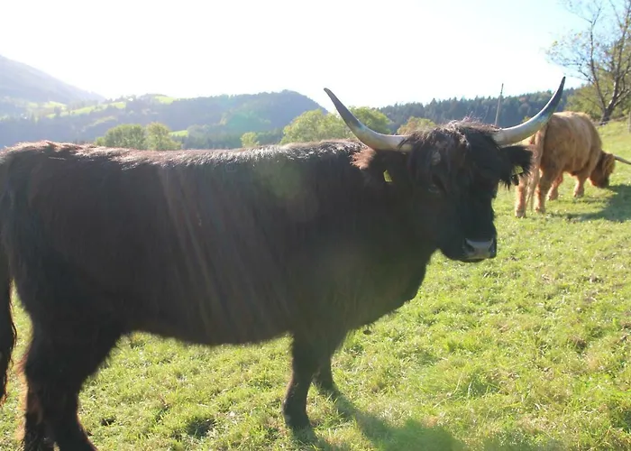 Hirmhof مزرعة للإقامة Reinsberg