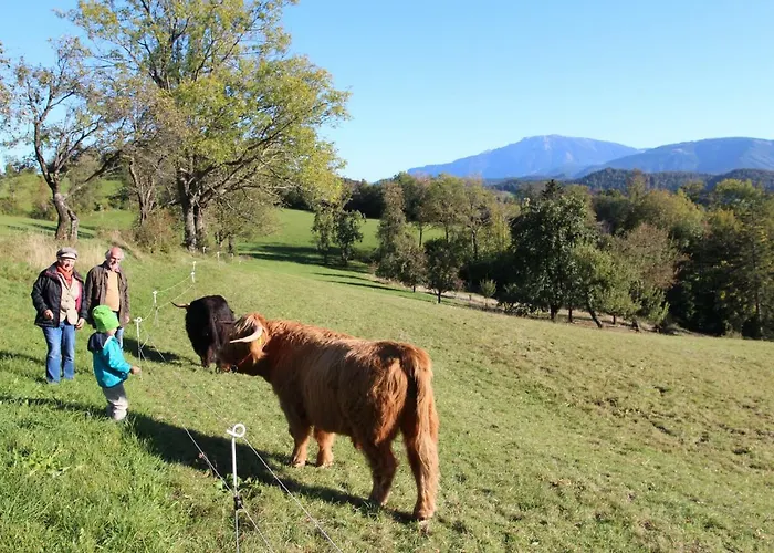 مزرعة للإقامة Hirmhof