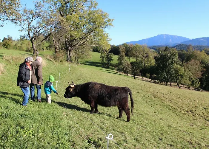 Hirmhof مزرعة للإقامة *